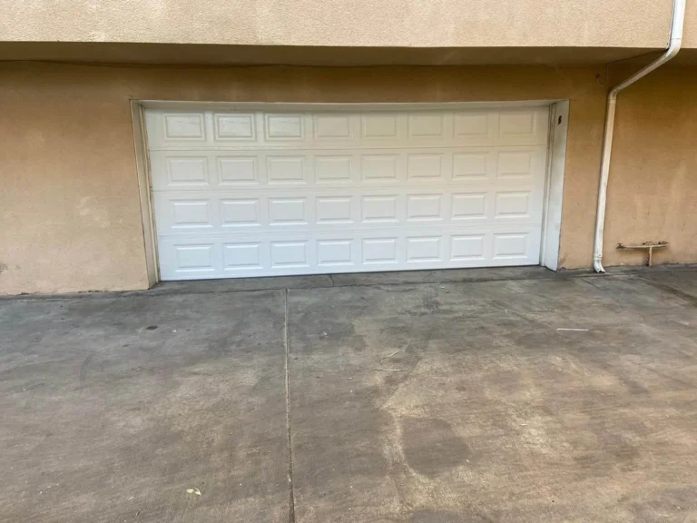 Linear Garage Door Opener